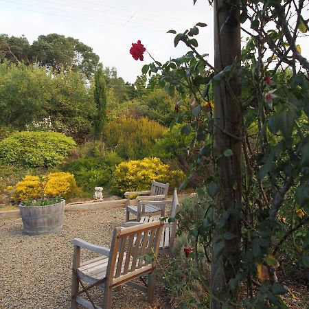 Bed & Breakfast At Tiffany'S Mclaren Vale Bagian luar foto