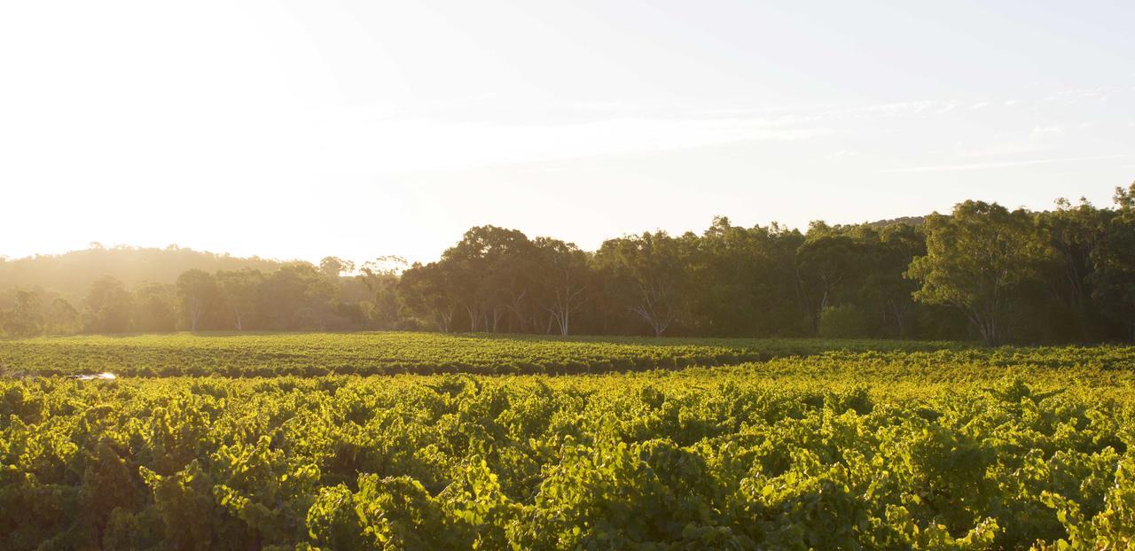 Bed & Breakfast At Tiffany'S Mclaren Vale Bagian luar foto