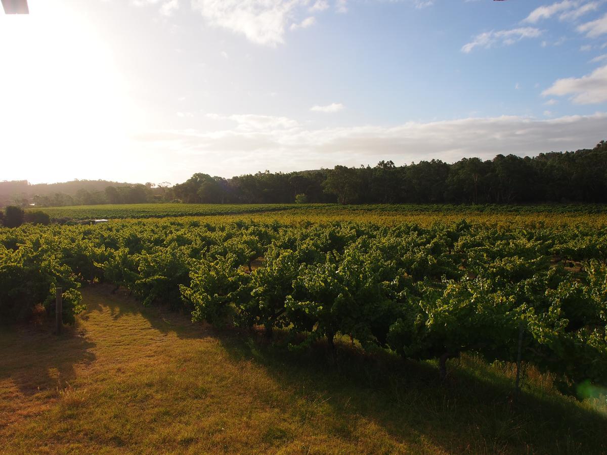 Bed & Breakfast At Tiffany'S Mclaren Vale Bagian luar foto